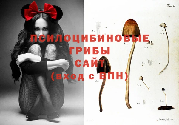амфетамин Видное