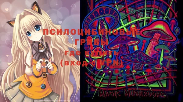 мдпв Нязепетровск