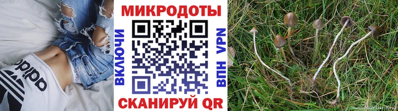 shop Telegram  Первомайск  Галлюциногенные грибы ЛСД 